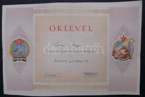 1956. "Élenjáró kereskedelmi dolgozó" dekoratív, nagyalakú oklevél