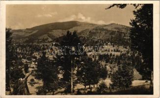 1941 Marosfő, Izvoru Muresului; látkép. Fazakas Imre kiadása / general view (fl)