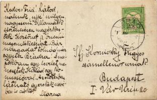 Brád, villa / villa. photo