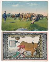 11 db RÉGI állatos képeslap / 11 pre-1945 animal postcards