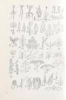 Jávorka Sándor-Csapody Vera: Erdő mező virágai. A magyar flóra színes kis atlasza. Bp., 1955, Mezőga...