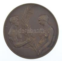 Damkó József (1872-1955) / Exner Károly (1850-1919) DN Magyar Országos Torna Szövetség bronz emlékérem (45mm) T:AU patina /  Hungary ND Magyar Országos Torna Szövetség (Hungarian National Gymnastics Association bronze commemorative medallion. Sign.: József Damkó and Károly Exner (45mm) C:AU patina