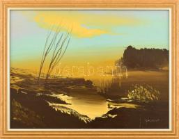 Darabont Tamás (1930-): Táj. Olaj, farost, jelzett, keretben, 30x40 cm