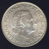 Hollandia 1961. 2 1/2 G Ag "Juliana" T:2+