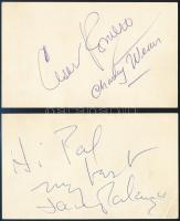 A Steve Allen Show c. amerikai TV-műsor 6 db dedikált kártyája, a műsorban fellépő hírességek aláírá...