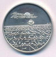 1993. 500Ft Ag "Expo 96" kapszulában T:BU apró patina
Adamo EM131