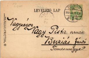 1900 Dévény, Theben a. d. Donau, Devín (Pozsony, Bratislava); Dévényi vár és Árpád emlékmű / Devínsk...