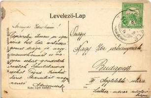 1912 Tápiószele, Piac tér, szamár szekér, üzlet. W.L. Bp. 5885. 1911/13. Kohn Lipót kiadása (fl)