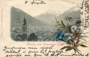 1898 Meran Litho