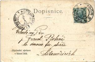 1903 Tábor, Pohled od vychodu, Byvalá Prazská Brána / general view, gate. Art Nouveau, floral, litho...