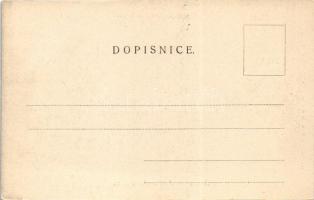 Brno, Brünn; Ferdinandova ulice / street view, tram, Hotel Padowetz