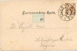 1898 (Vorläufer) Plzen, Pilsen; Salzgasse / street view (EK)