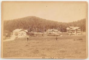 cca 1880 Poprád, Virágvölgy (Blumenthal), Magas-Tátra, keményhátú fotó, 11×16,5 cm / Poprad, Slovakia