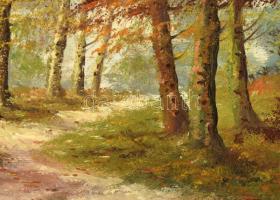 Olvashatatlan jelzéssel: Erdőbelső. Olaj, vászon. Dekoratív fakeretben. 40x50 cm