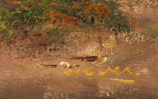 Olvashatatlan jelzéssel: Erdőbelső. Olaj, vászon. Dekoratív fakeretben. 40x50 cm