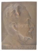 Zombori Kiss István (1902-1953) Dr. Hubay Jenő egyoldalas bronz emlékplakett (117x86cm) T:1- patina
