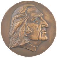 Gács Lajos (1905-1981) DN Liszt Ferenc portré, egyoldalas bronz emlékérem (170mm) T:1-
