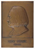 Edvi Illés György (1911-?) DN "Liszt Ferenc 1811-1886" bronz emlékplakett (195x140mm) T:XF