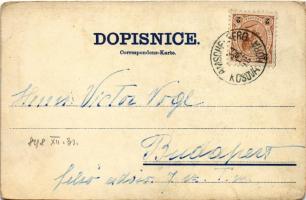 1898 (Vorläufer) Sedlcany, Cerveny hradek, Dolejsi námesti, Cást námesti s radnici, Prazská ulice / ...