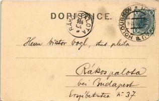 1906 Holoubkov, general view. Art Nouveau, floral (EK)