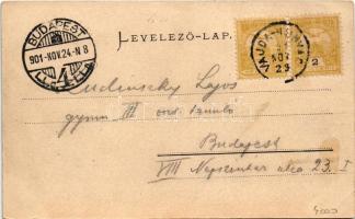 1901 Vajdahunyad, Hunedoara; Vajda-Hunyad vára. Schuller A. kiadása / castle (EB)