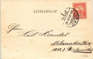 1900 Arad, Aradi Kereskedelmi Akadémia. Kerpel Izsó kiadása / trade academy (lyuk / pinhole)