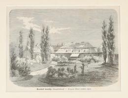 cca 1860 Rusz Károly (1811-1899)/ Greguss János: Bacskói kastély Zemplén. Fametszet Jelzett a metsze...