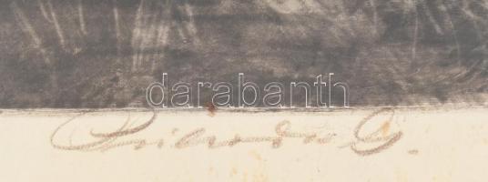 Prihoda István (1891-1965): Szarvasok. Színezett rézkarc, papír, jelzett, lap széle kissé foltos, üv...