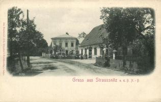 Straussnitz