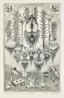 Nyári Lóránt (1928-1982), 3 db rézkarc egy lapon: Metamorfózis, 1978. Rézkarc, papír, jelzett, 28,5×...