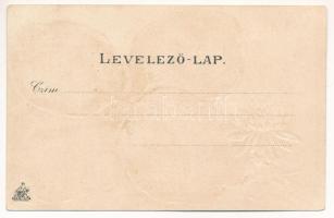 Mohács, Kálvinista mátkapár, sokácok, Központi szálloda, Dunagőzhajózási társaság állomása. Weiser M...