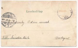 1901 Nagymaros, Dunapart. Art Nouveau, floral (r)