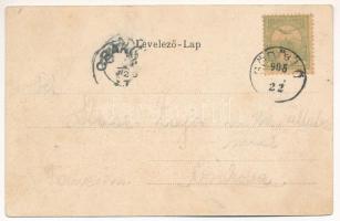 1905 Gödöllő, pályaudvar, vasútállomás. Nemesánszky Józsefné kiadása, Art Nouveau, floral, litho (EK...