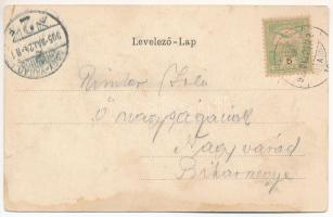 1905 Gödöllő, kastély udvara. Nemesánszky Józsefné kiadása, Art Nouveau, floral, litho (szakadás / t...