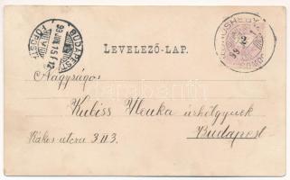 1899 (Vorläufer) Balatonfüred, gőzhajó kikötő, "BAROSS" gőzös. Art Nouveau, floral, litho ...