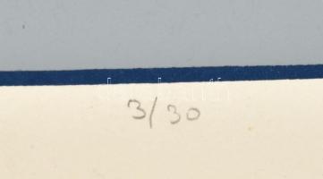 Pirk László (1953-): Labirintus és tenger, 1980. Szitanyomat, papír, jelzett, számozott (3/30), 40,5...