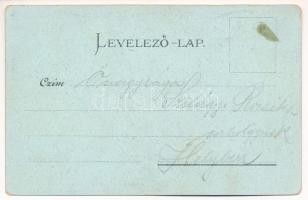 Debrecen, Nagyerdei fürdőház este. Csokonai nyomda kiadványa 1332. Art Nouveau, floral, litho (kopot...