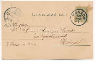 1902 Mohács, Sokácok és busók, folklór. Art Nouveau, floral, litho