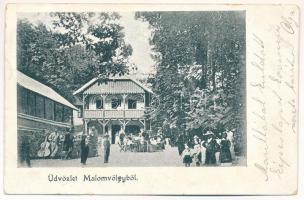 1905 Szászkabánya, Németszászka, Sasca Montana; Malomvölgy, vendéglő, nyaraló / &quot;Susara&quot; Mühlthal / valley, restaurant, villa (EK)