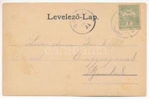 1905 Szászkabánya, Németszászka, Sasca Montana; Malomvölgy, vendéglő, nyaraló / "Susara" M...