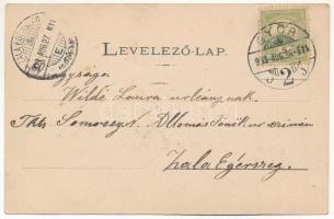 1903 Győr, Deák utca feldíszítve 1902 április 12-13-án, "Isten hozott" felirat. Gróf Széch...