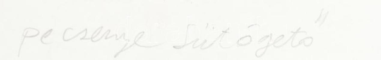 Für Emil (1967-): Pecsenye sütögető, 2004. Ceruza, akril, papír, jelzett, hátoldalán autográf felira...