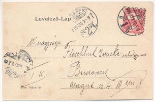 1905 Miskolc, MÁV indulóháza, vasútállomás. Röptében Miskolcz körül! montázs galambon utazó párral, ...