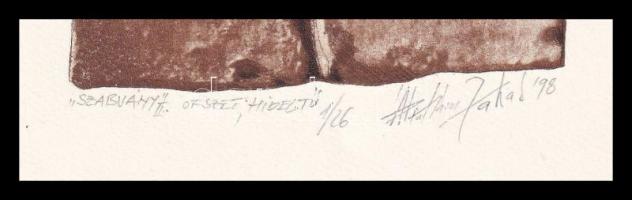 Ábrahám Jakab (1952-): Szabvány. Ofszet, hidegtű, papír, jelzett, számozott: 1/26, 15x10 cm