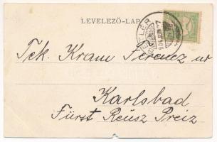 1906 Betlér, Betliar (Rozsnyó, Roznava); Gróf Andrássy kastély. Falvi Jenő kiadása / castle (szakadá...