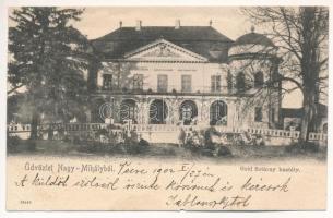 1902 Nagymihály, Michalovce; Gróf Sztáray kastély / castle + MEZŐLABORCZ-S.-A.-ÚJHELY 51. SZ. vasúti mozgóposta (EK)