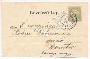 1902 Nagymihály, Michalovce; Gróf Sztáray kastély / castle + "MEZŐLABORCZ-S.-A.-ÚJHELY 51. SZ.&...