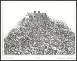 Sárkány Győző (1951-): Domb házzal. Rézkarc, papír, jelzett, számozott: 4/50, 11,5x15,5 cm