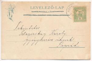 1903 Alsótátrafüred, Unter-Schmecks, Dolny Smokovec (Magas-Tátra, Vysoké Tatry); nyaralók magyar zás...