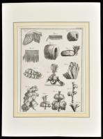 cca 1770 Kalapkészítő eszkőzei és termékei 2 db rézmetszet. Diderot D'Alembert természettudomán...